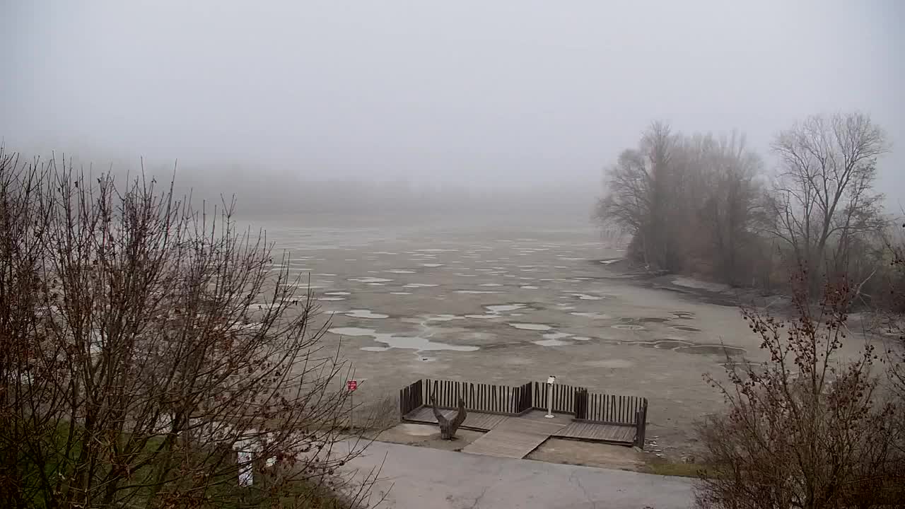 Webcam Ribnik Vrbje – Žalec