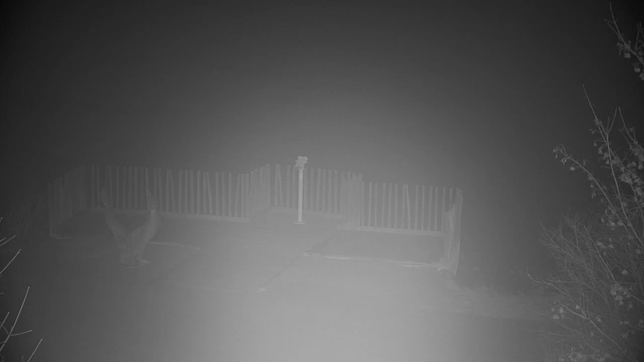 Web kamera Ribnik Vrbje – Žalec