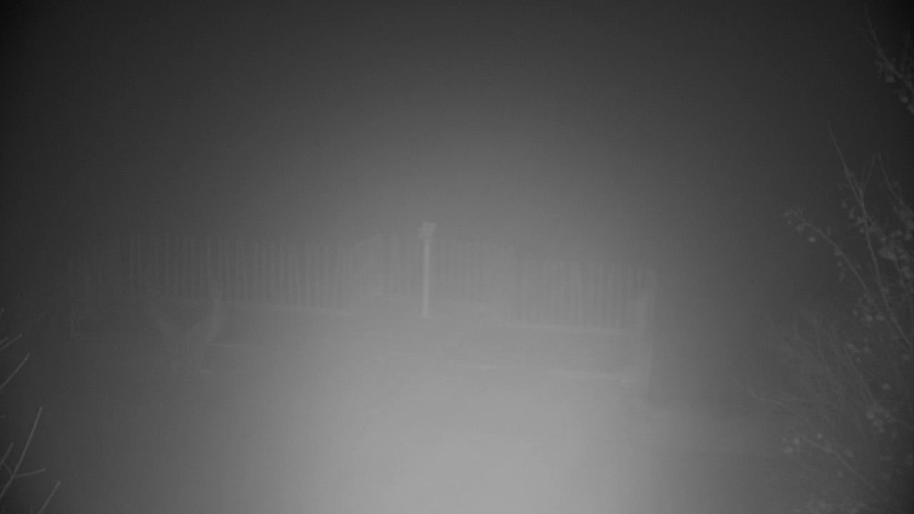 Webcam Ribnik Vrbje – Žalec