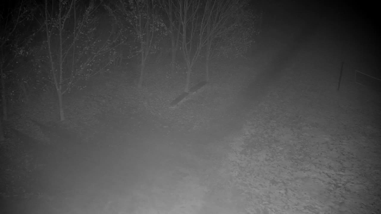 Webcam Ribnik Vrbje – Žalec