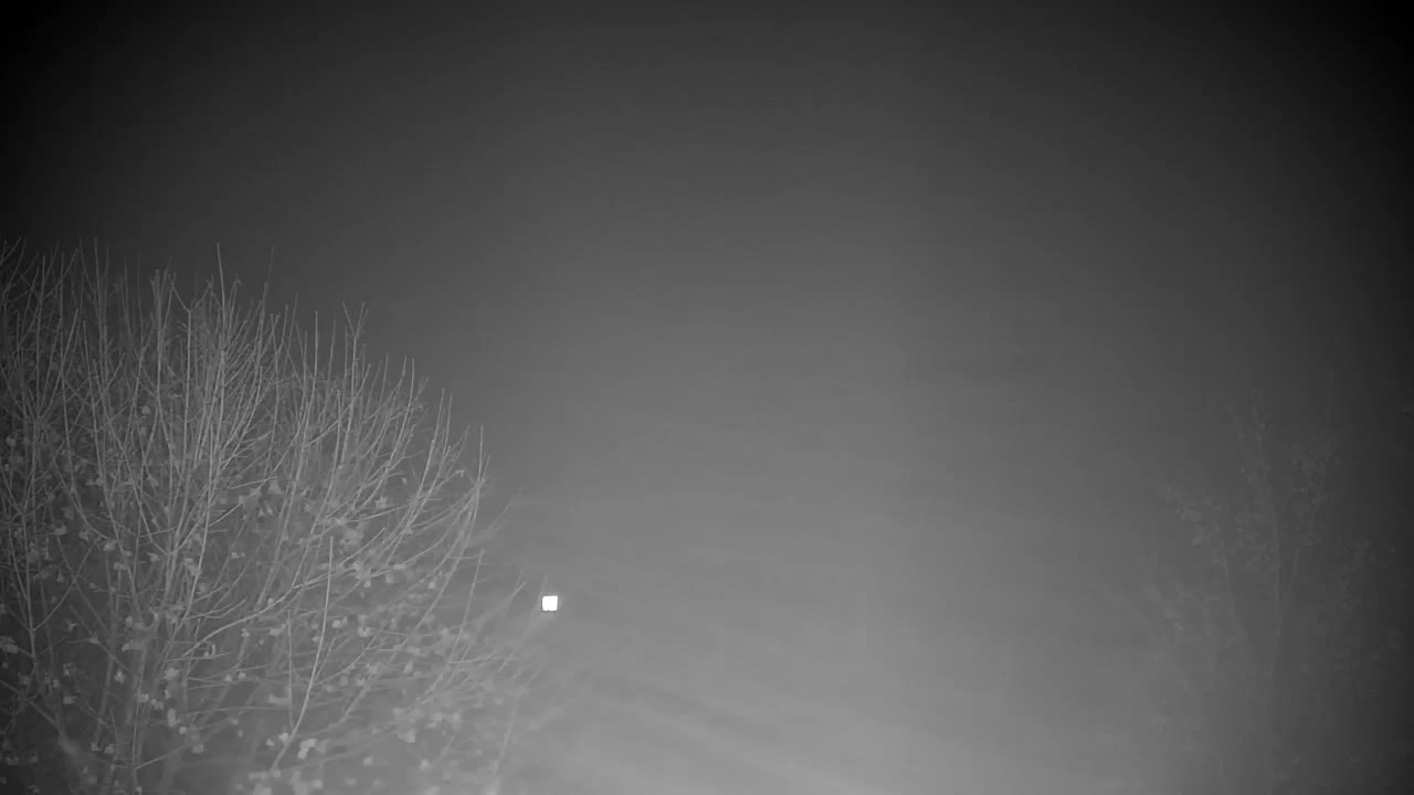 Webcam Ribnik Vrbje – Žalec