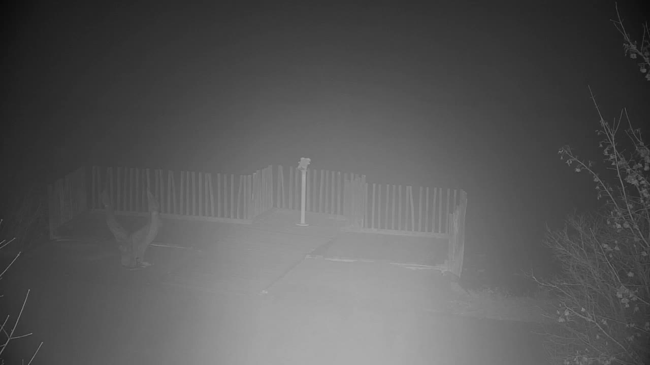 Spletna kamera Ribnik Vrbje – Žalec