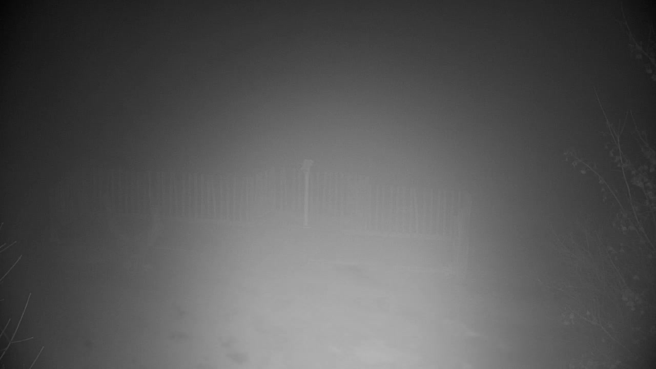 Webcam Ribnik Vrbje – Žalec