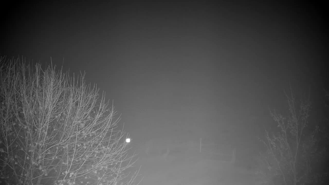 Webcam Ribnik Vrbje – Žalec