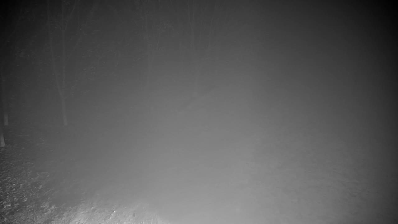 Webcam Ribnik Vrbje – Žalec