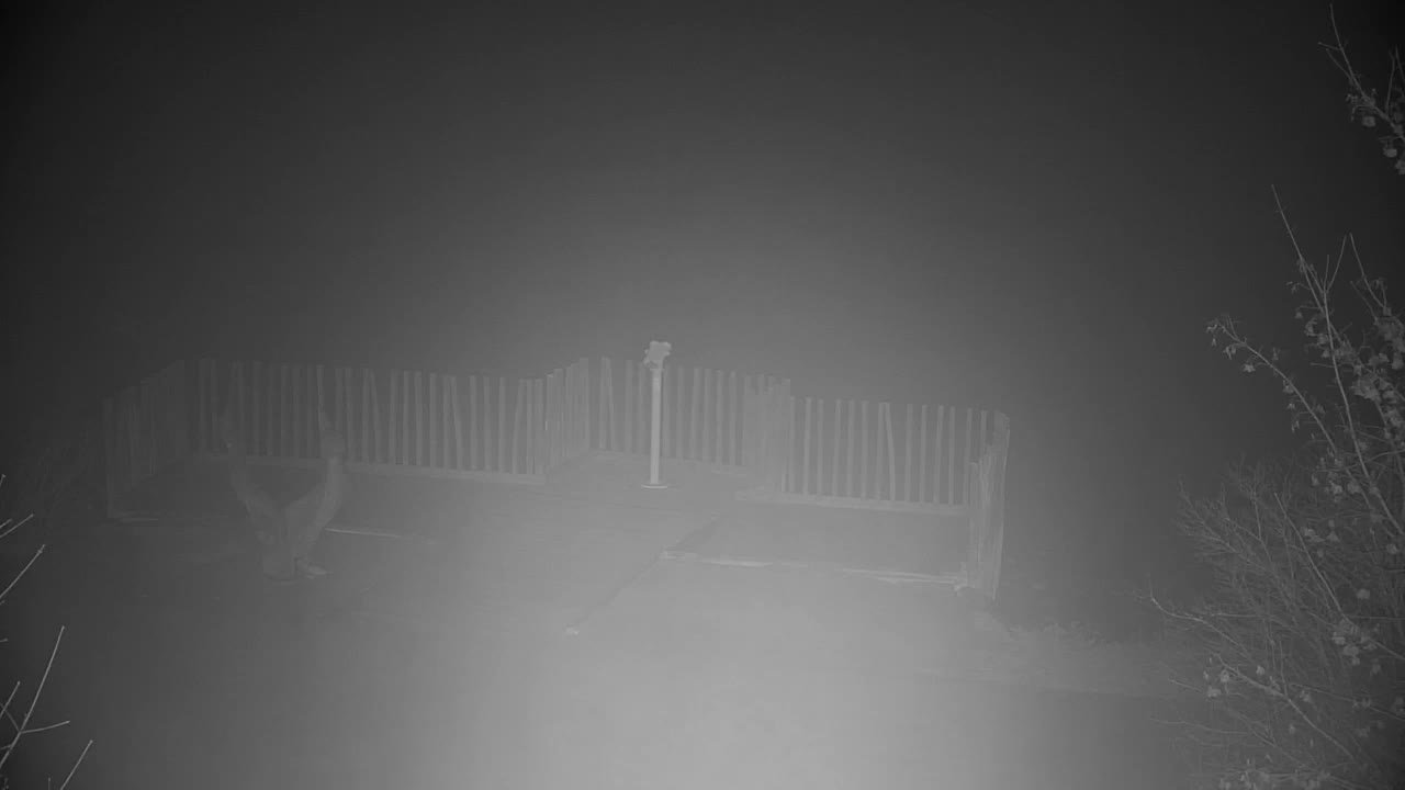 Webcam Ribnik Vrbje – Žalec