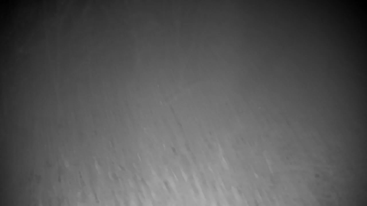 Webcam Ribnik Vrbje – Žalec