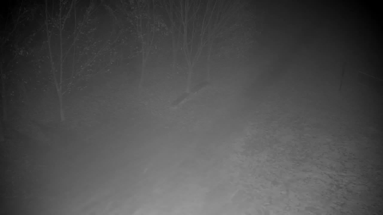 Webcam Ribnik Vrbje – Žalec