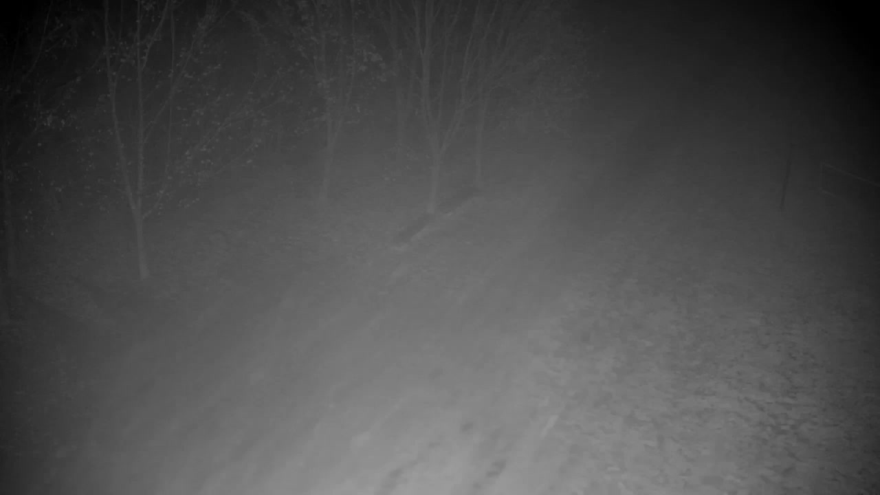 Webcam Ribnik Vrbje – Žalec