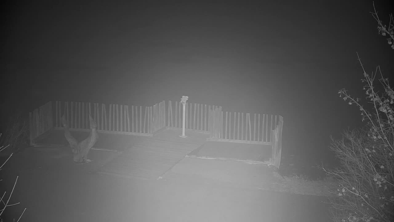 Webcam Ribnik Vrbje – Žalec