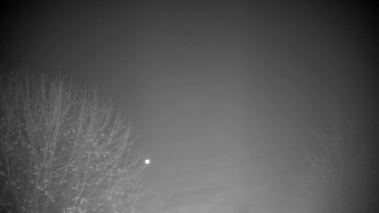 Web kamera Ribnik Vrbje – Žalec