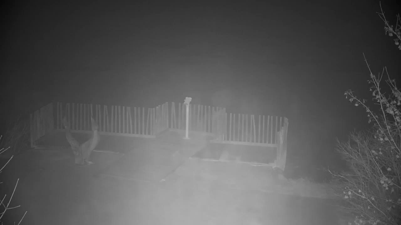 Web kamera Ribnik Vrbje – Žalec