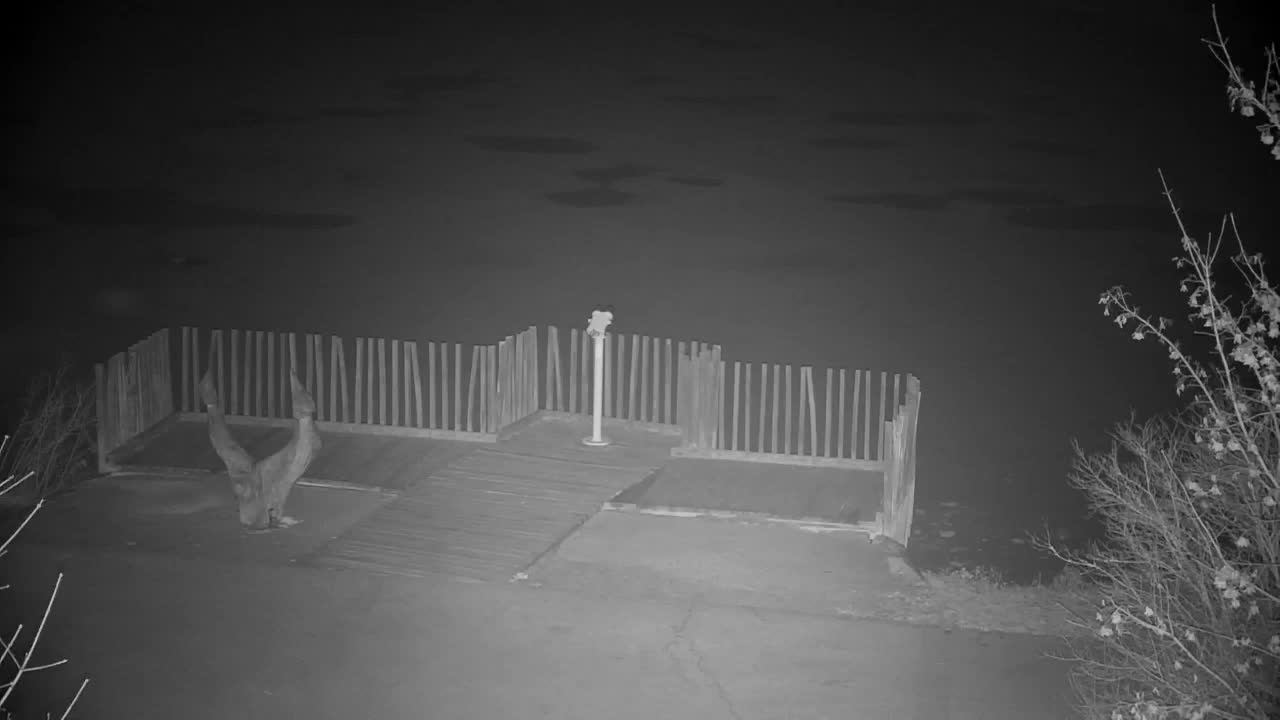 Webcam Ribnik Vrbje – Žalec