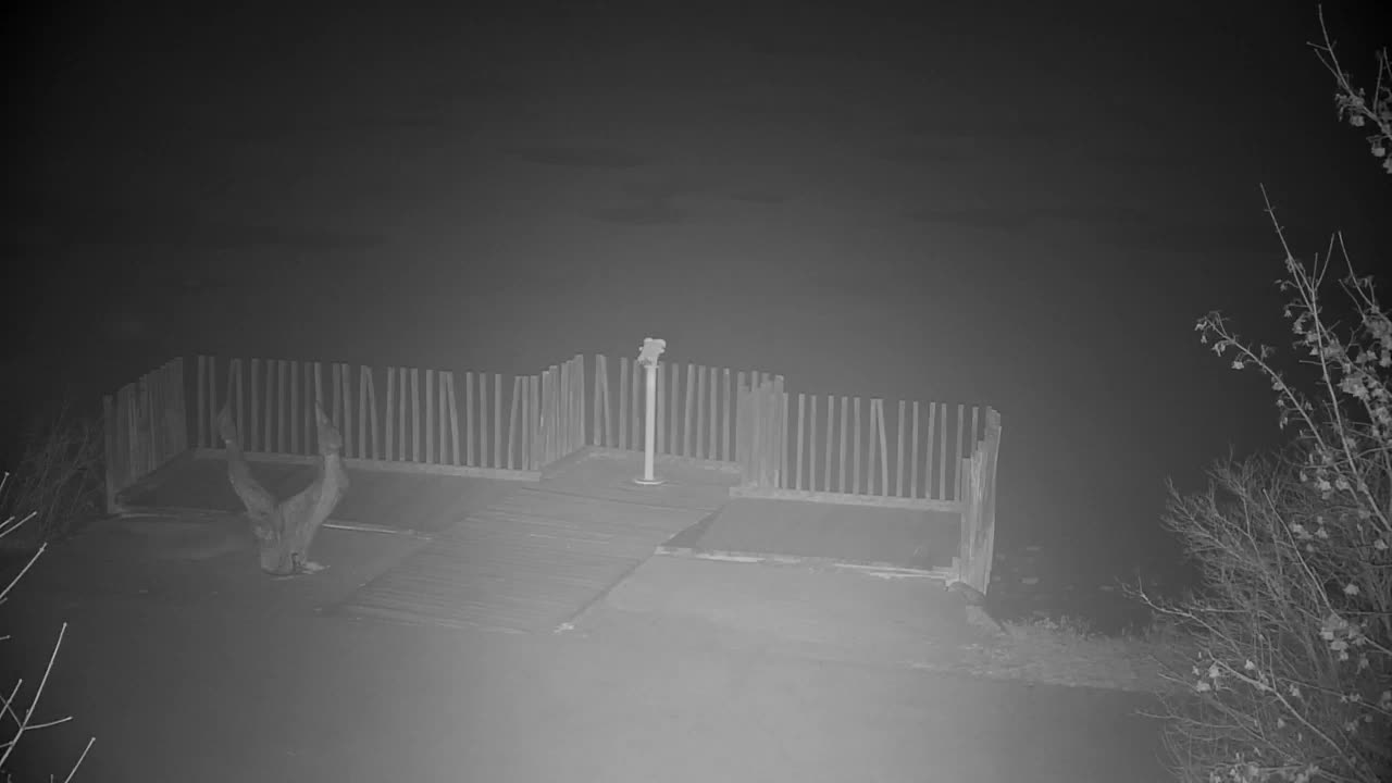 Webcam Ribnik Vrbje – Žalec