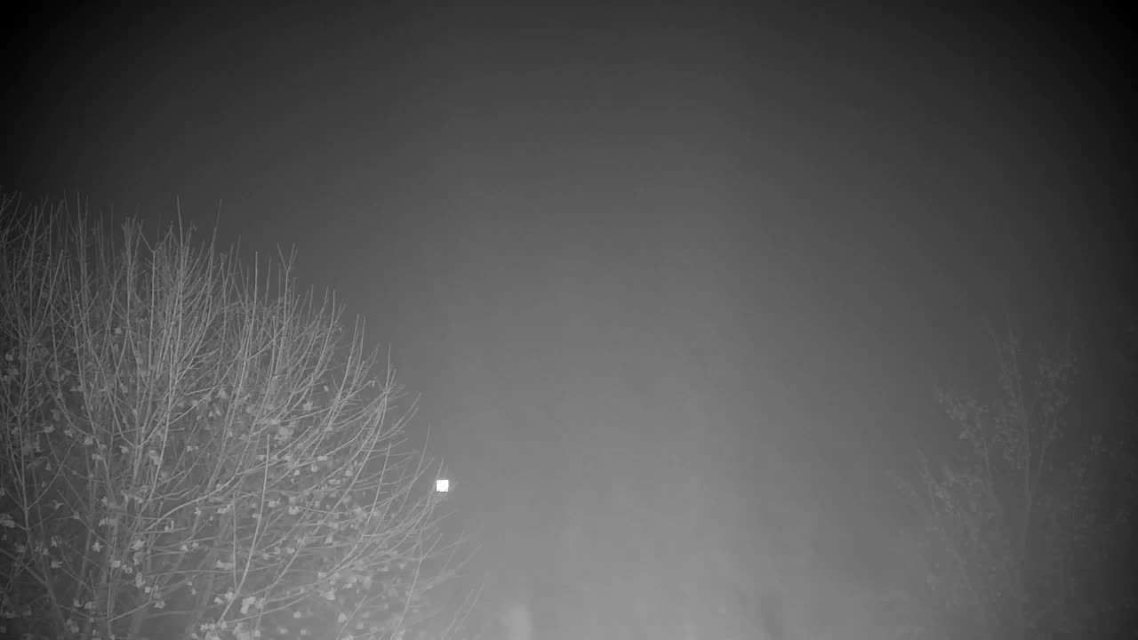 Webcam Ribnik Vrbje – Žalec