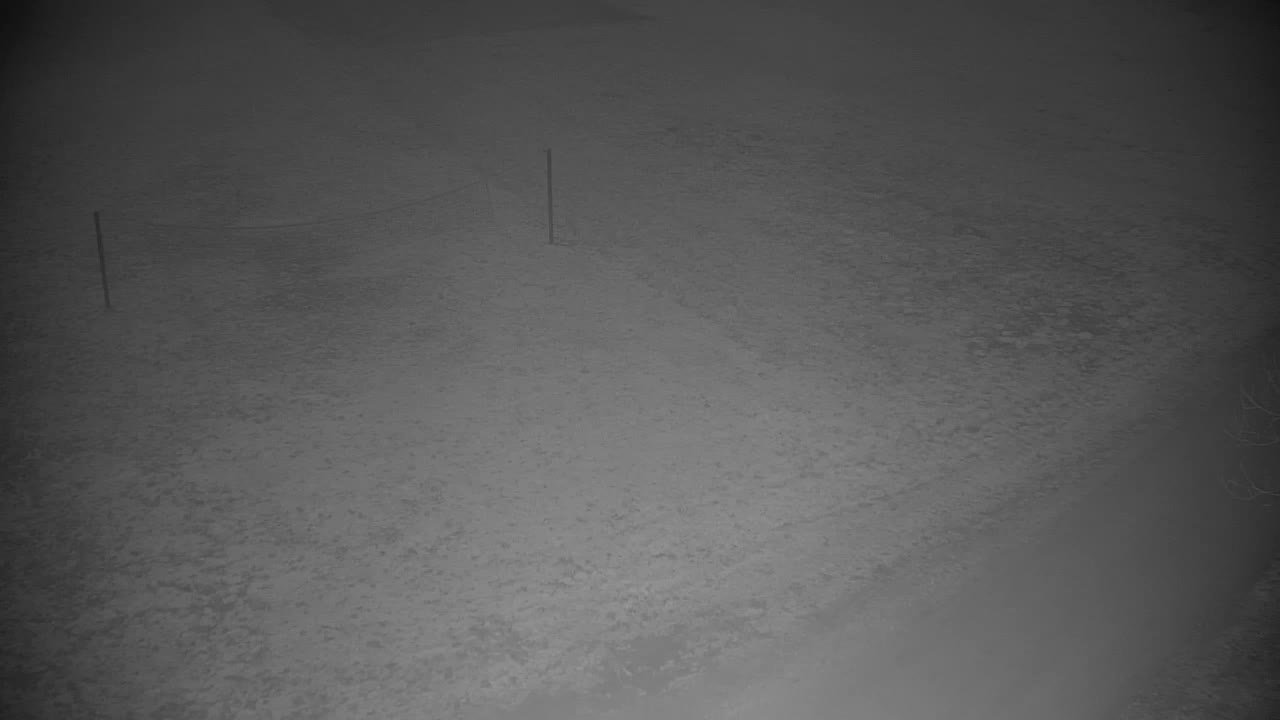 Webcam Ribnik Vrbje – Žalec