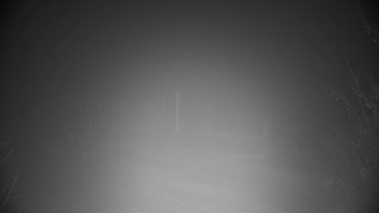 Webcam Ribnik Vrbje – Žalec