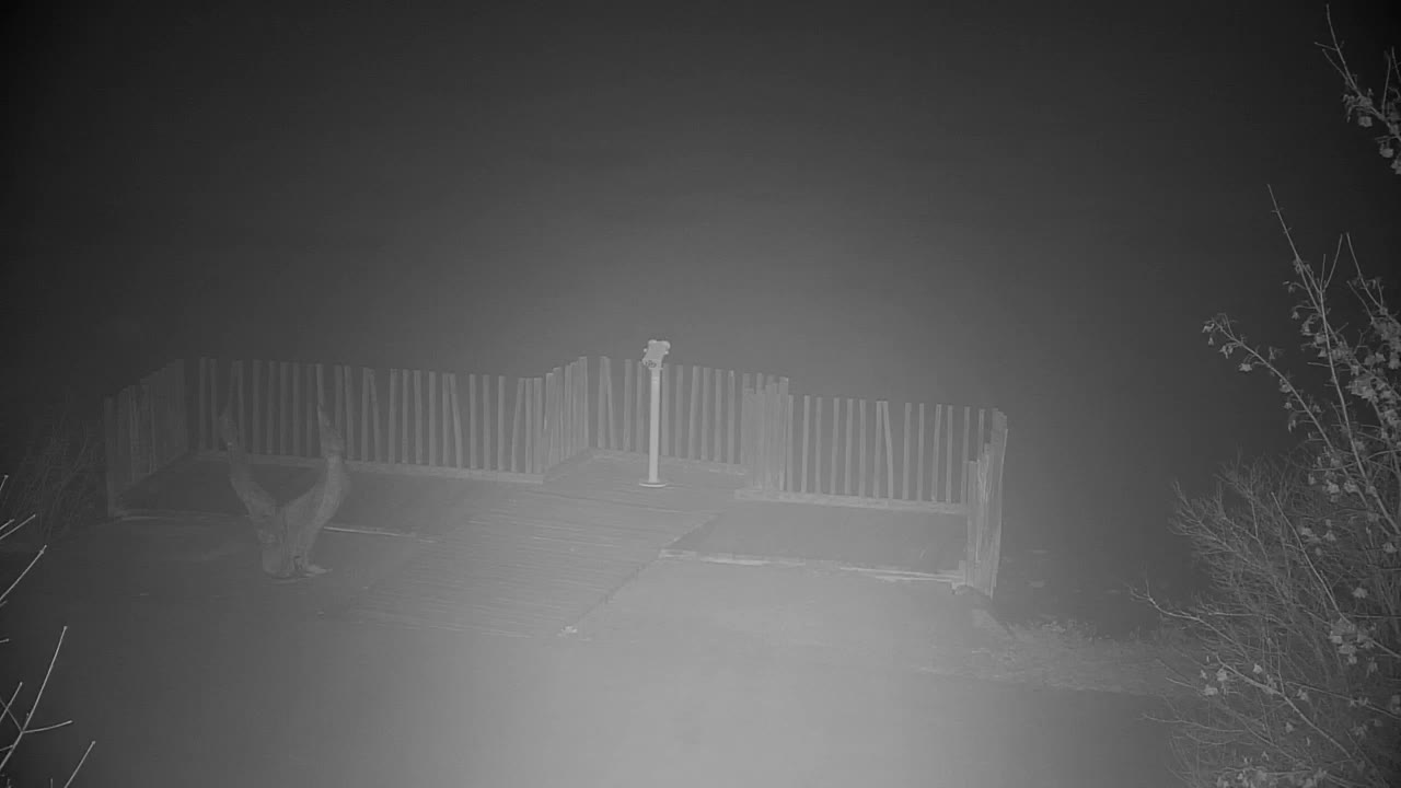 Webcam Ribnik Vrbje – Žalec