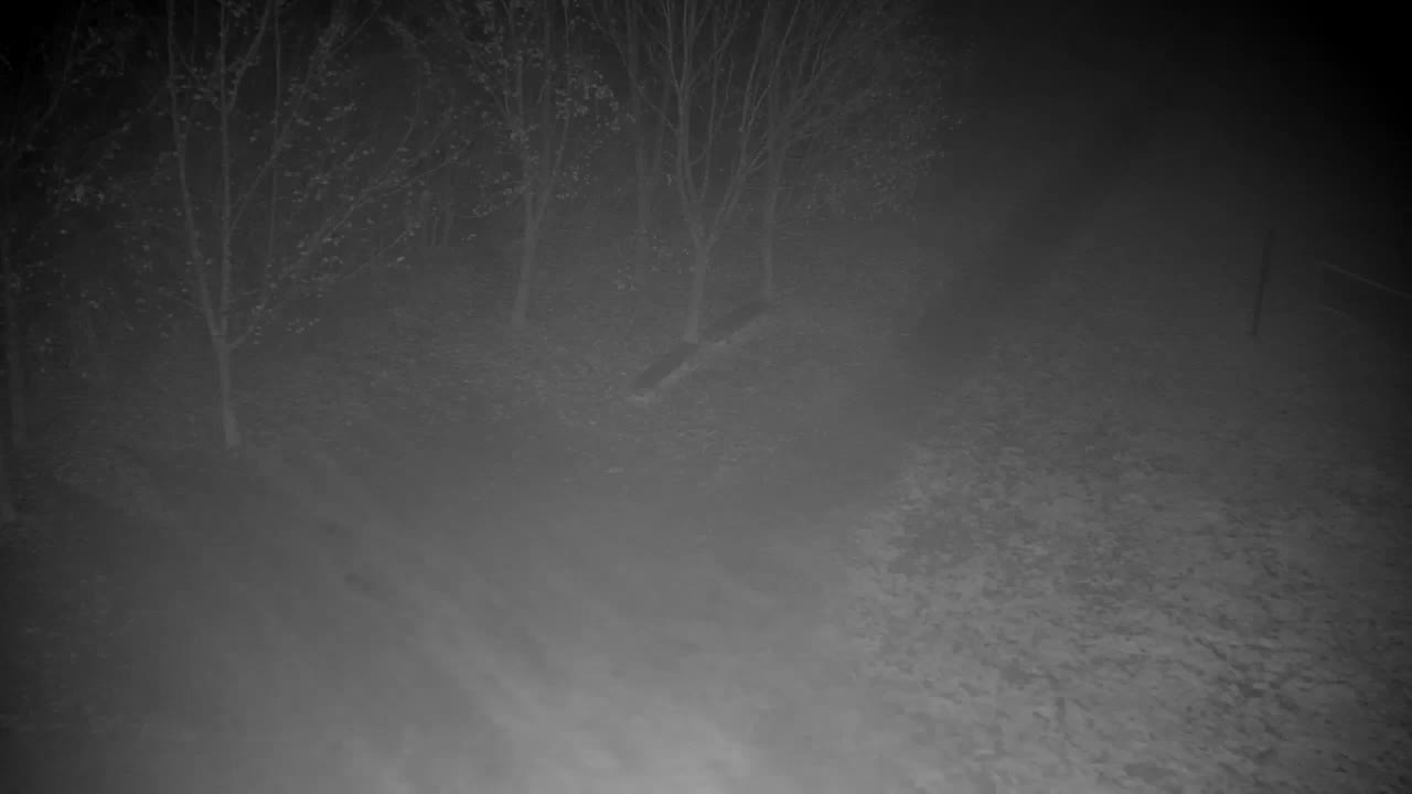 Webcam Ribnik Vrbje – Žalec