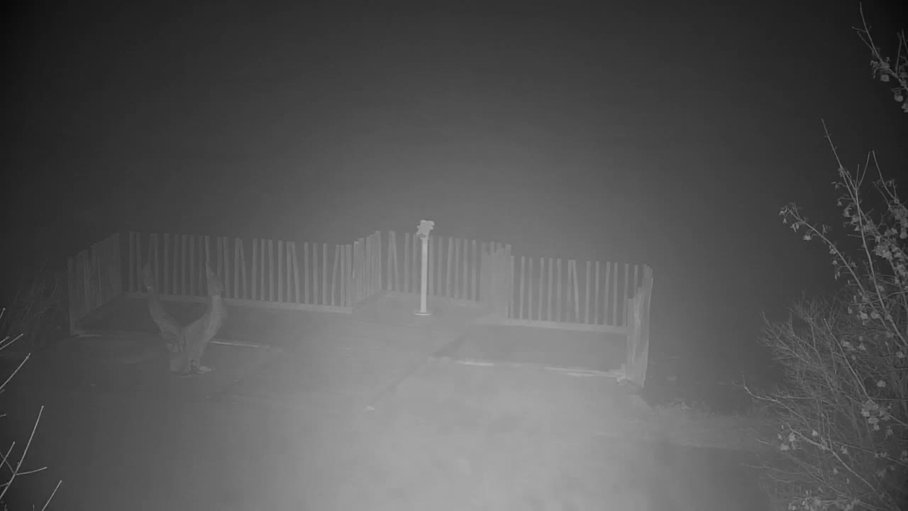 Web kamera Ribnik Vrbje – Žalec