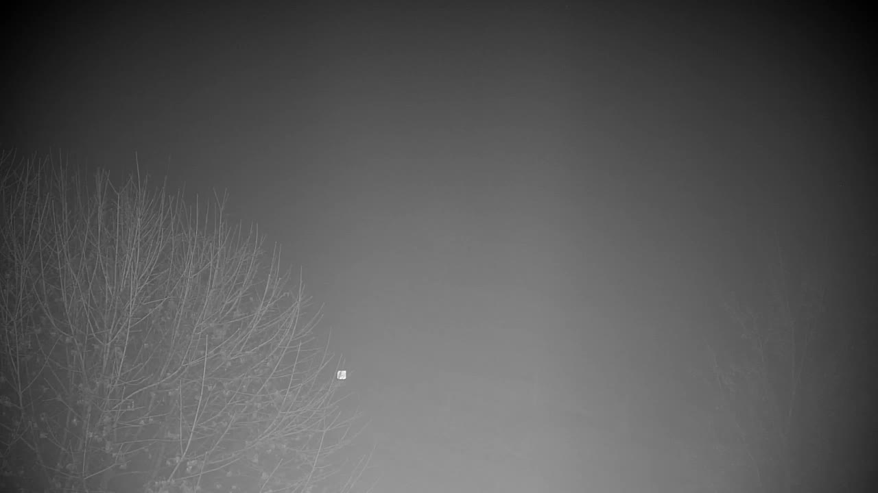 Webcam Ribnik Vrbje – Žalec