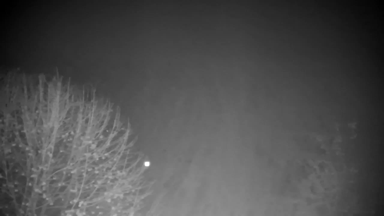 Webcam Ribnik Vrbje – Žalec