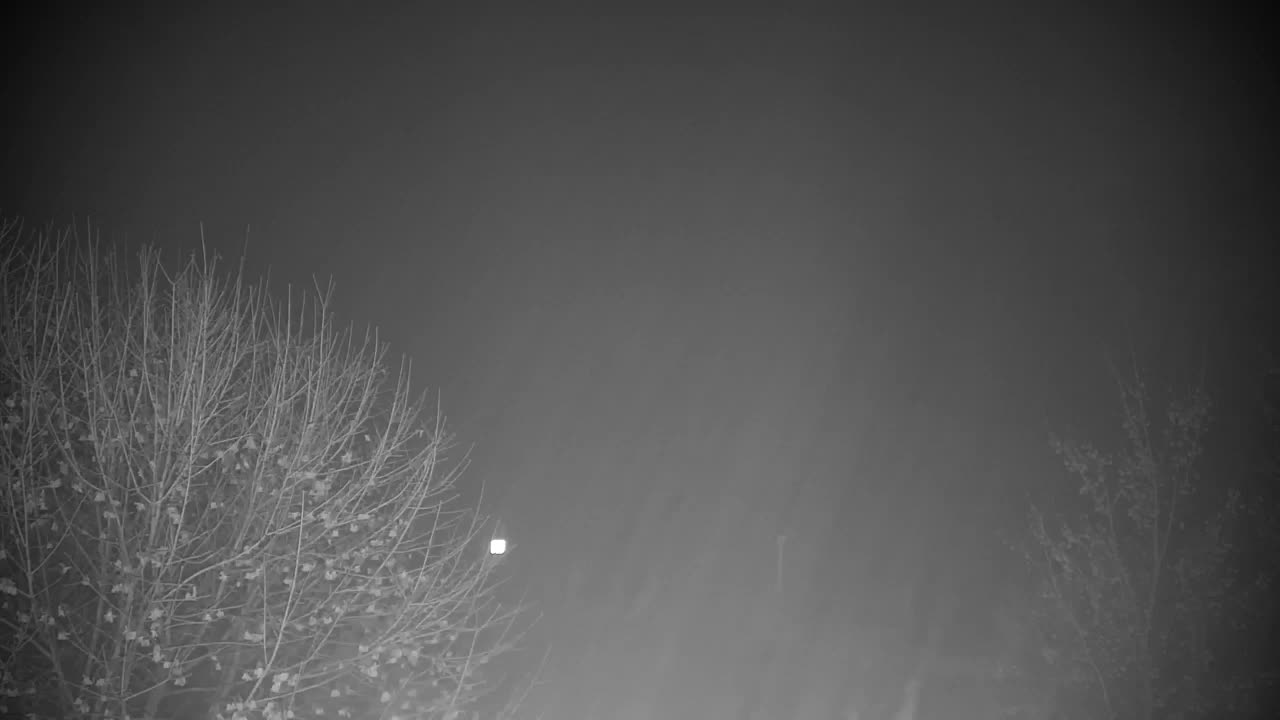 Webcam Ribnik Vrbje – Žalec