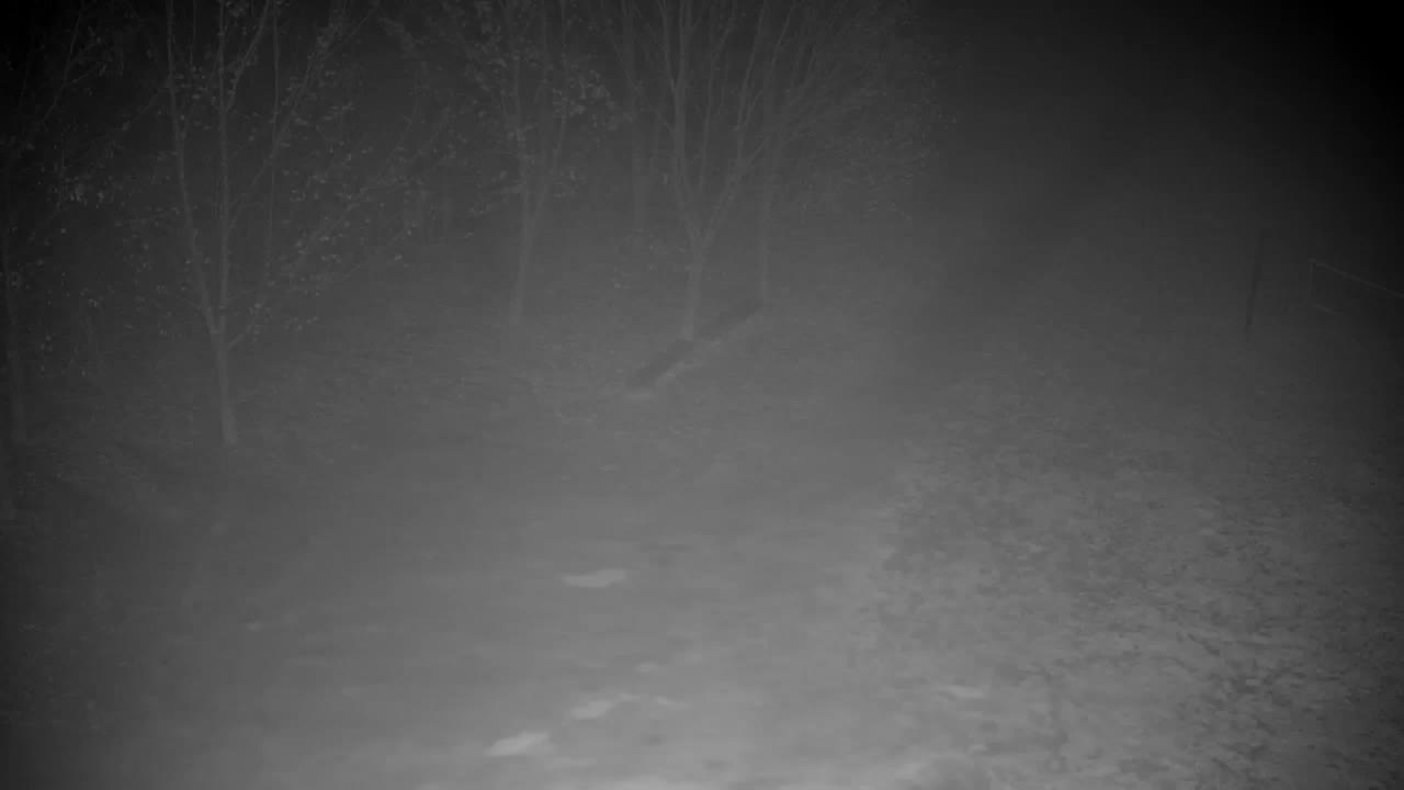 Webcam Ribnik Vrbje – Žalec