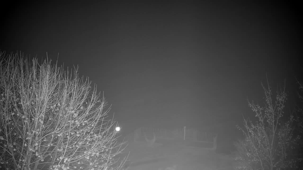 Webcam Ribnik Vrbje – Žalec