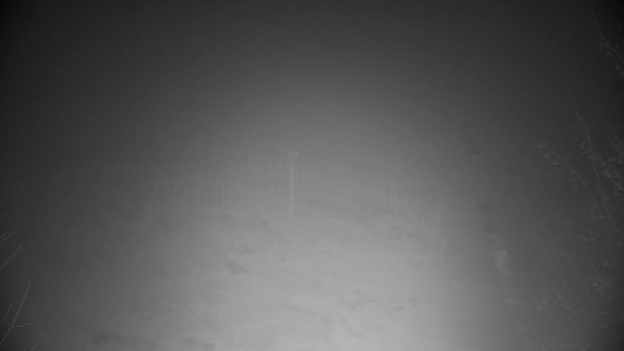 Webcam Ribnik Vrbje – Žalec