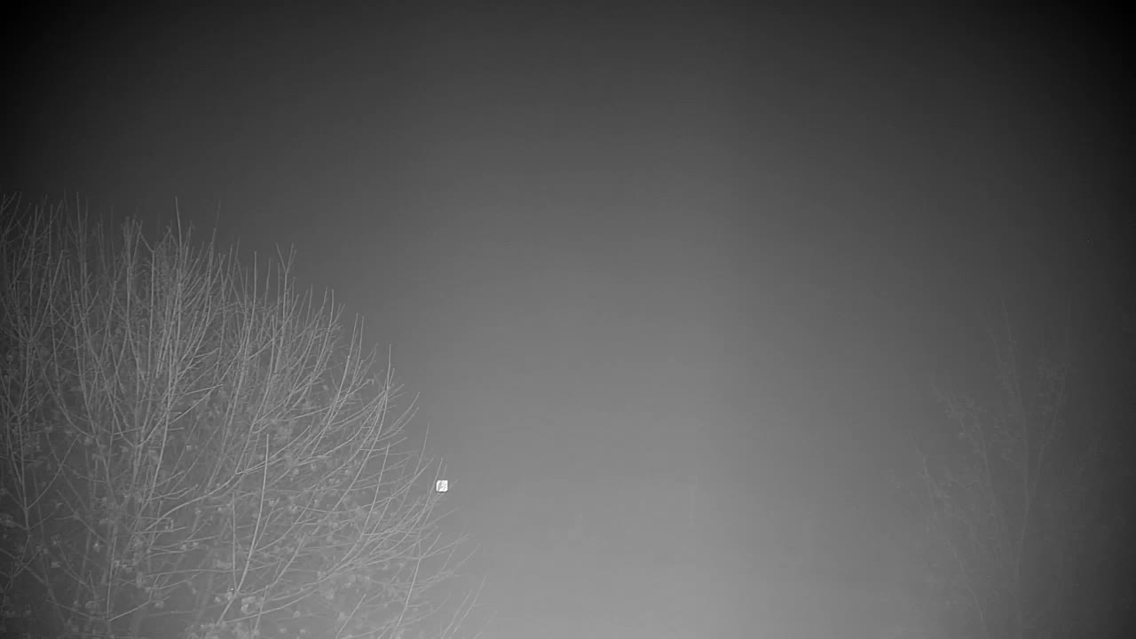 Web kamera Ribnik Vrbje – Žalec