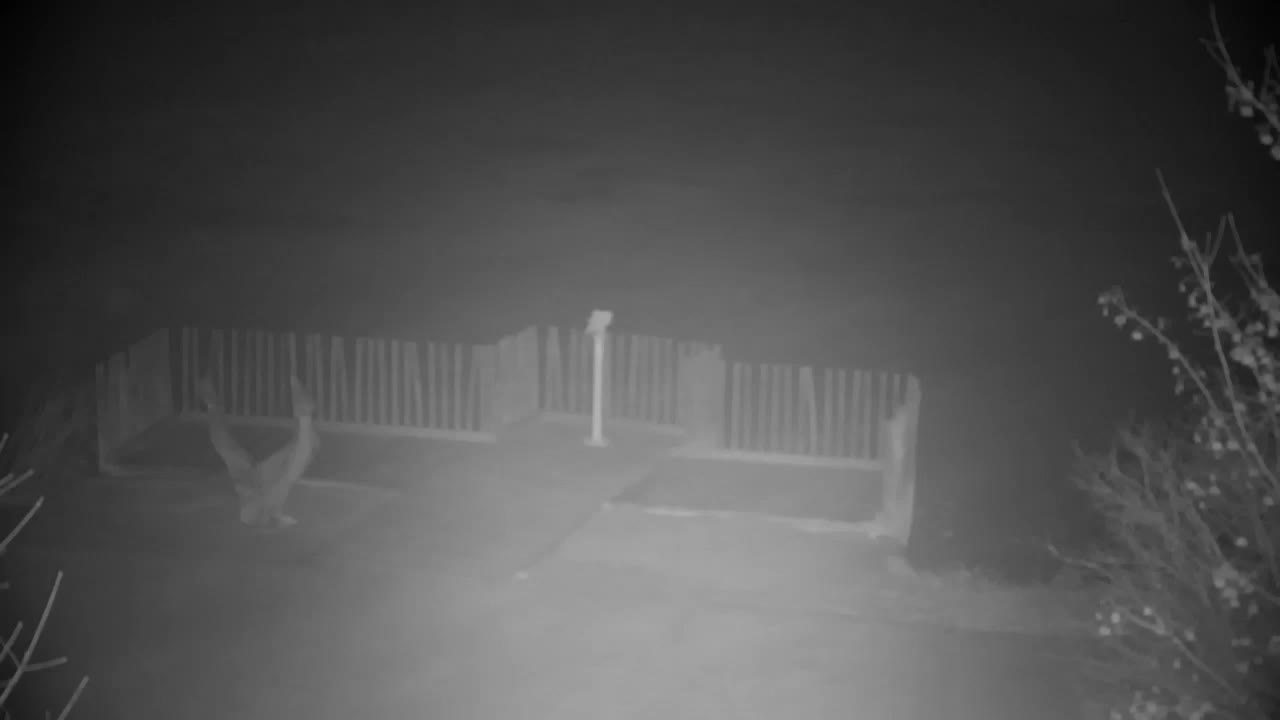 Spletna kamera Ribnik Vrbje – Žalec