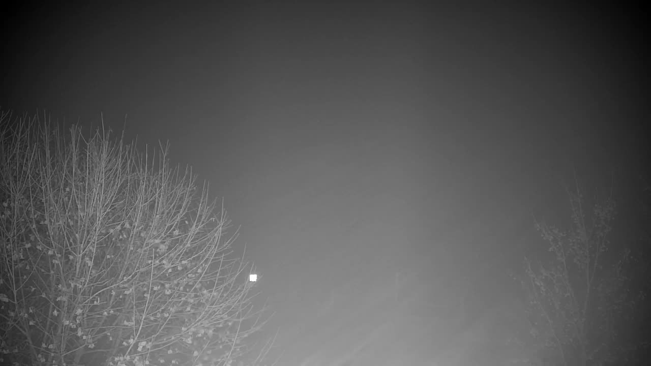 Spletna kamera Ribnik Vrbje – Žalec