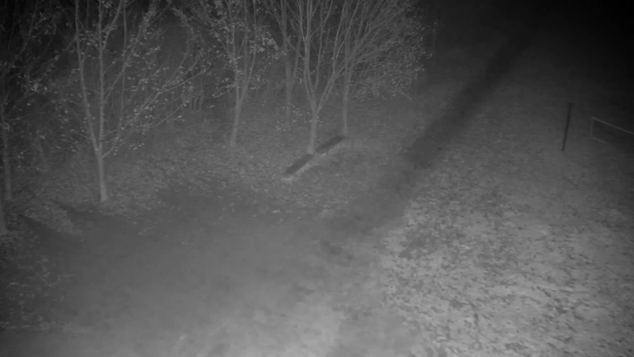 Webcam Ribnik Vrbje – Žalec