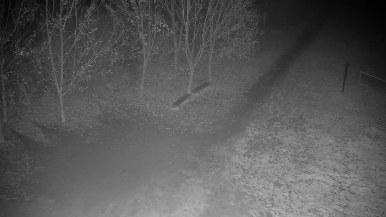 Webcam Ribnik Vrbje – Žalec