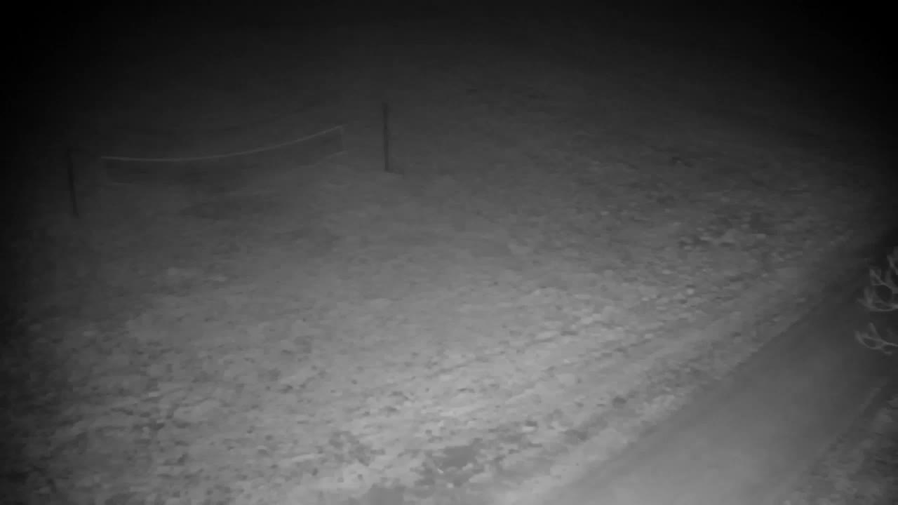 Webcam Ribnik Vrbje – Žalec