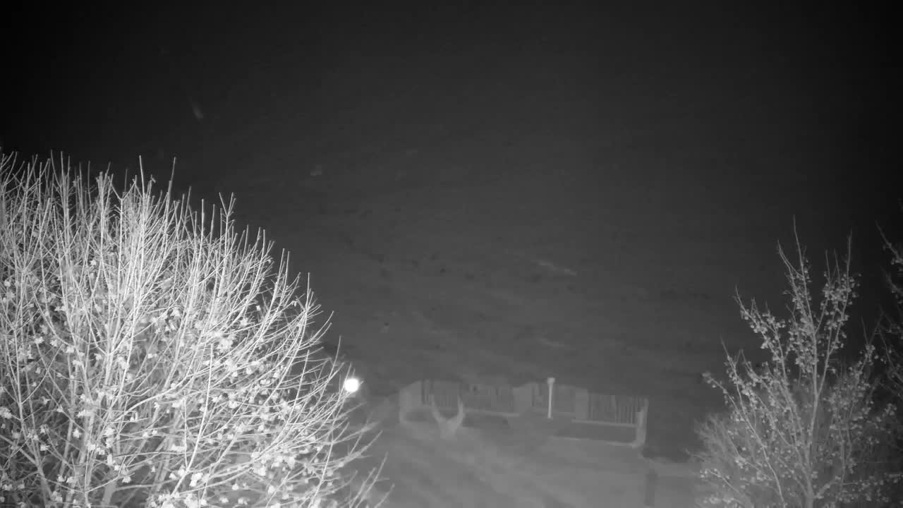 Web kamera Ribnik Vrbje – Žalec