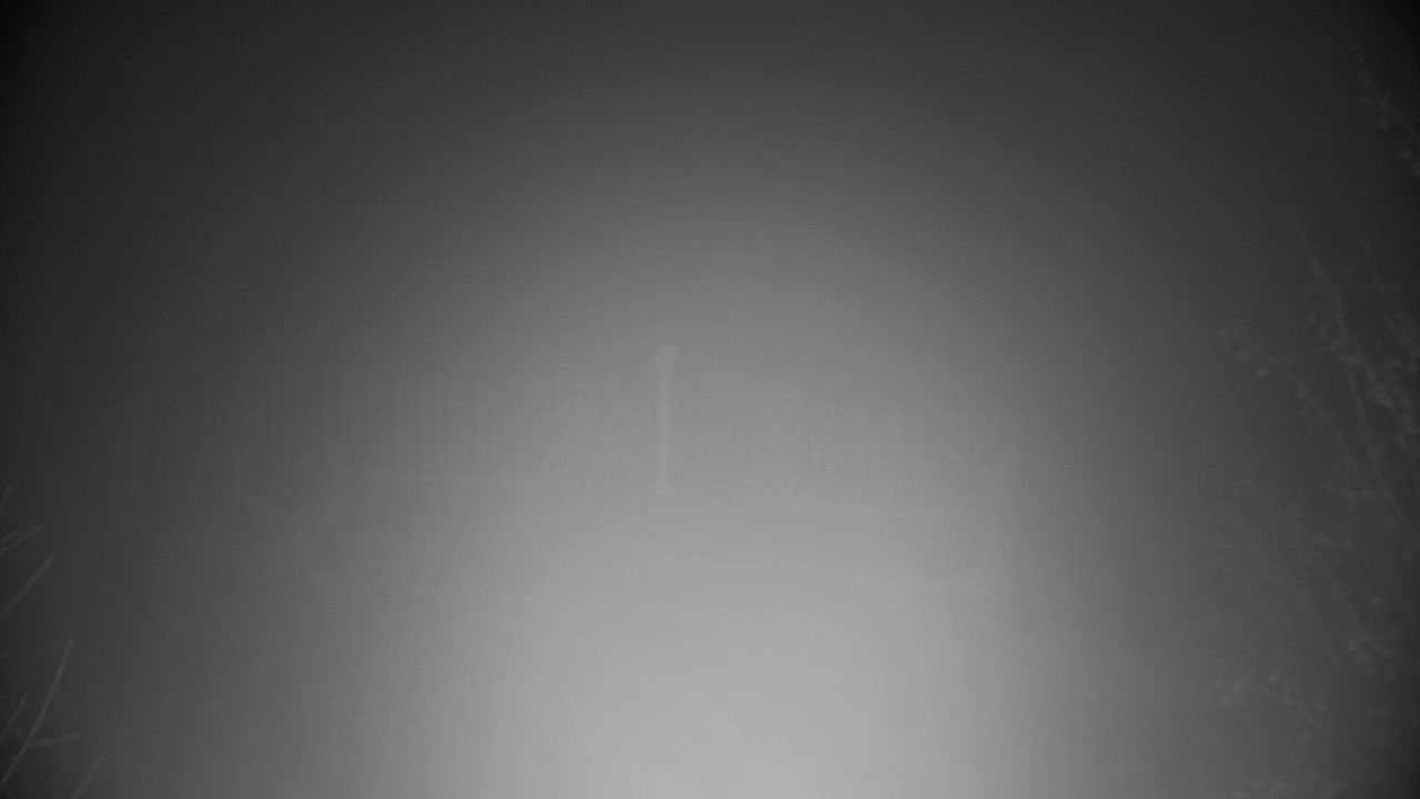 Webcam Ribnik Vrbje – Žalec