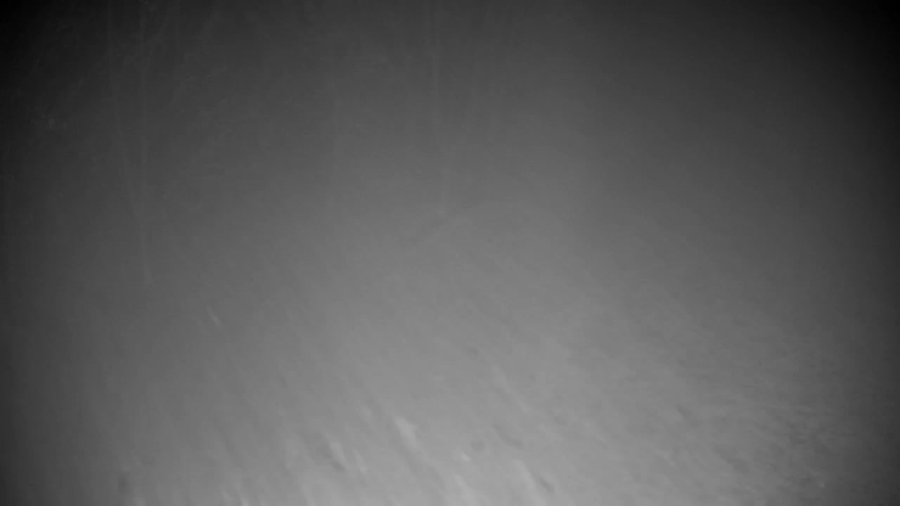 Webcam Ribnik Vrbje – Žalec