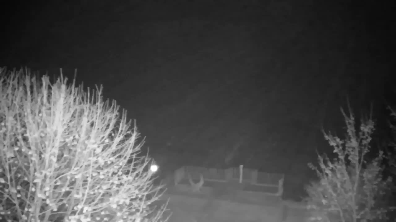 Spletna kamera Ribnik Vrbje – Žalec