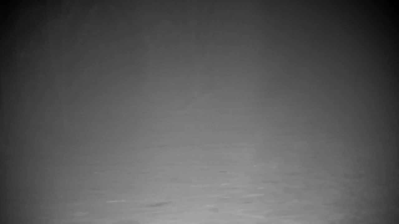 Webcam Ribnik Vrbje – Žalec