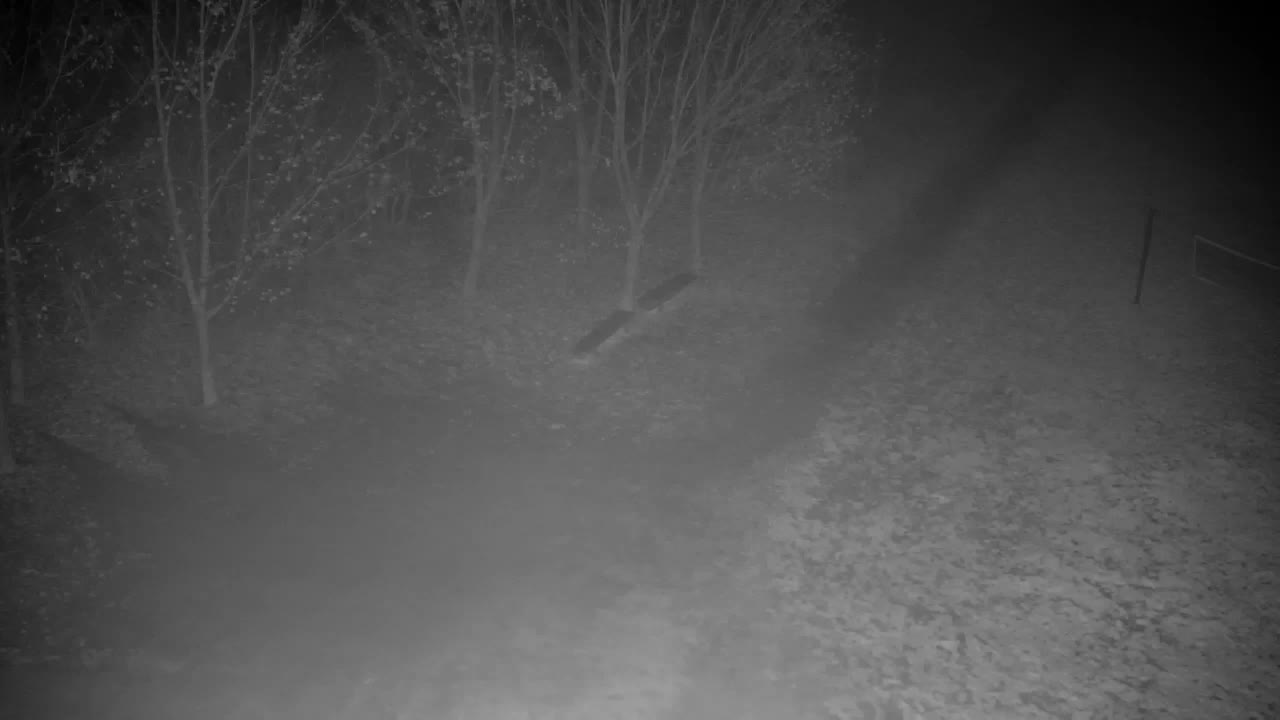 Webcam Ribnik Vrbje – Žalec