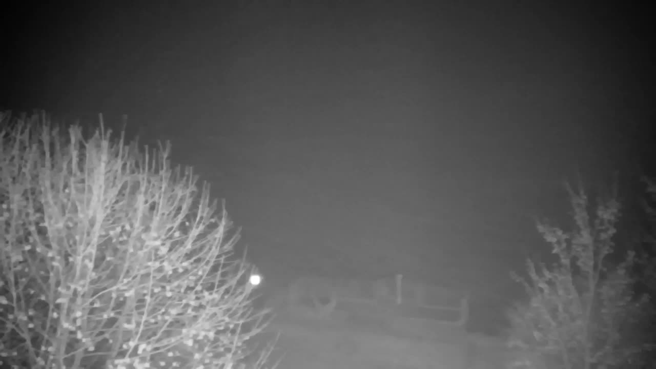 Webcam Ribnik Vrbje – Žalec