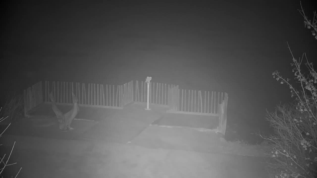 Webcam Ribnik Vrbje – Žalec