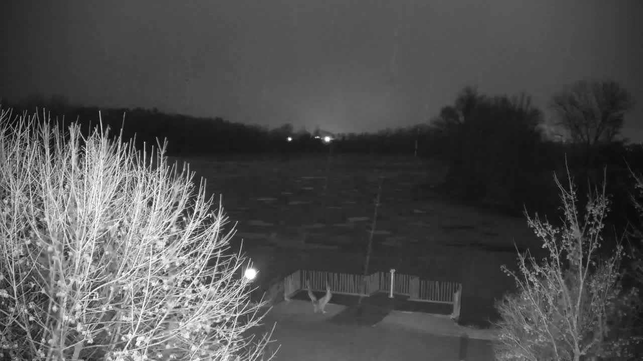 Webcam Ribnik Vrbje – Žalec