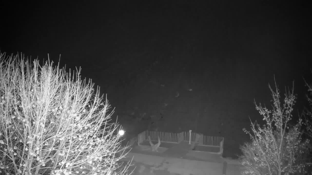 Webcam Ribnik Vrbje – Žalec