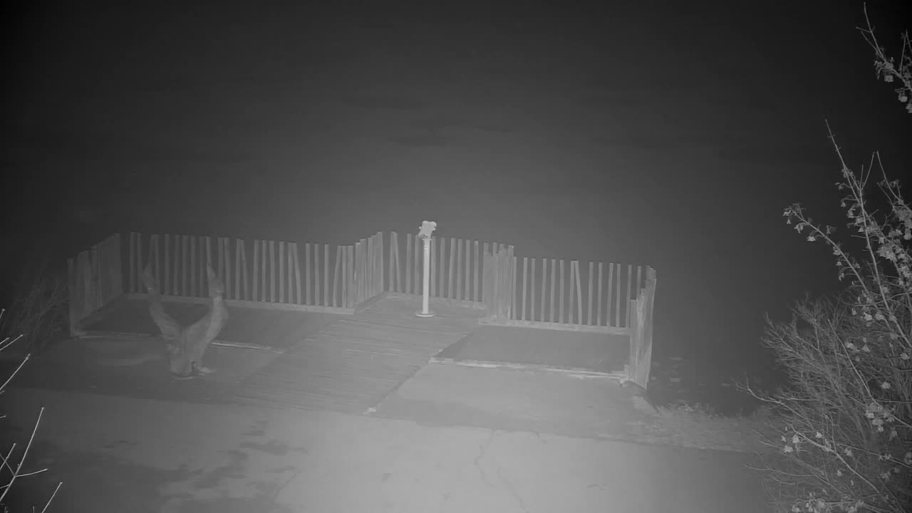 Webcam Ribnik Vrbje – Žalec