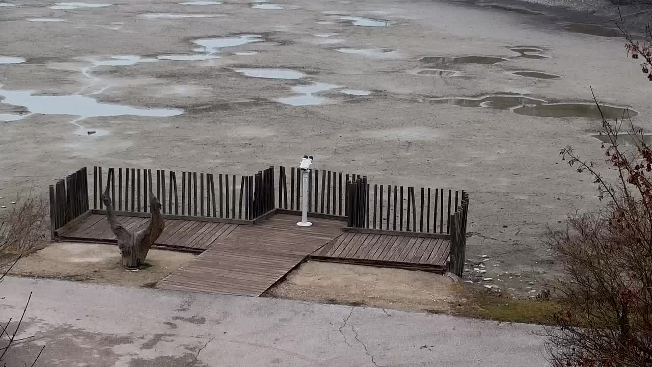 Spletna kamera Ribnik Vrbje – Žalec