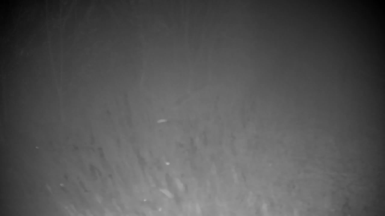 Webcam Ribnik Vrbje – Žalec