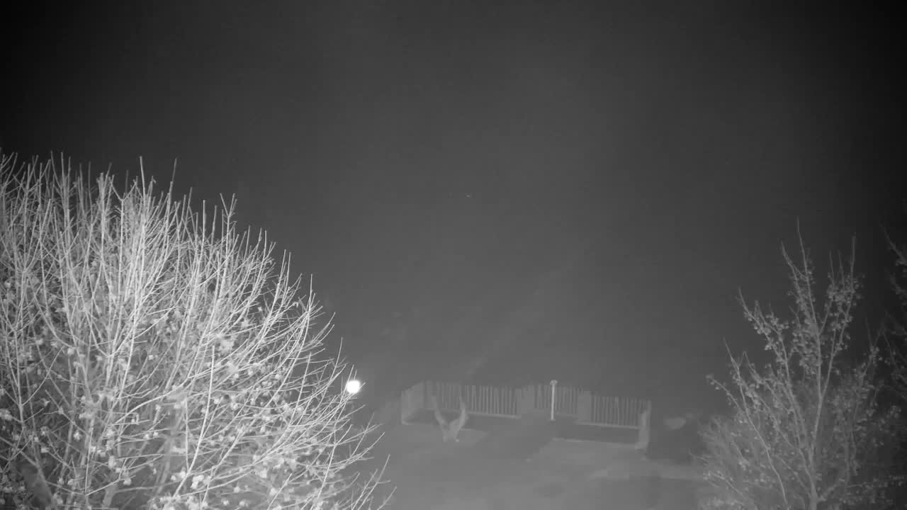 Webcam Ribnik Vrbje – Žalec